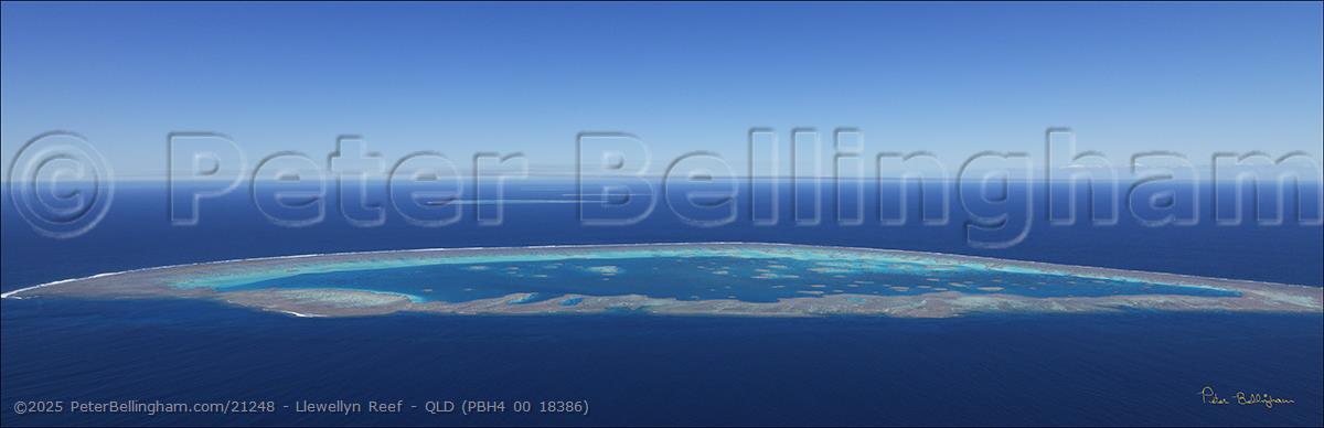 Peter Bellingham Photography Llewellyn Reef - QLD (PBH4 00 18386)